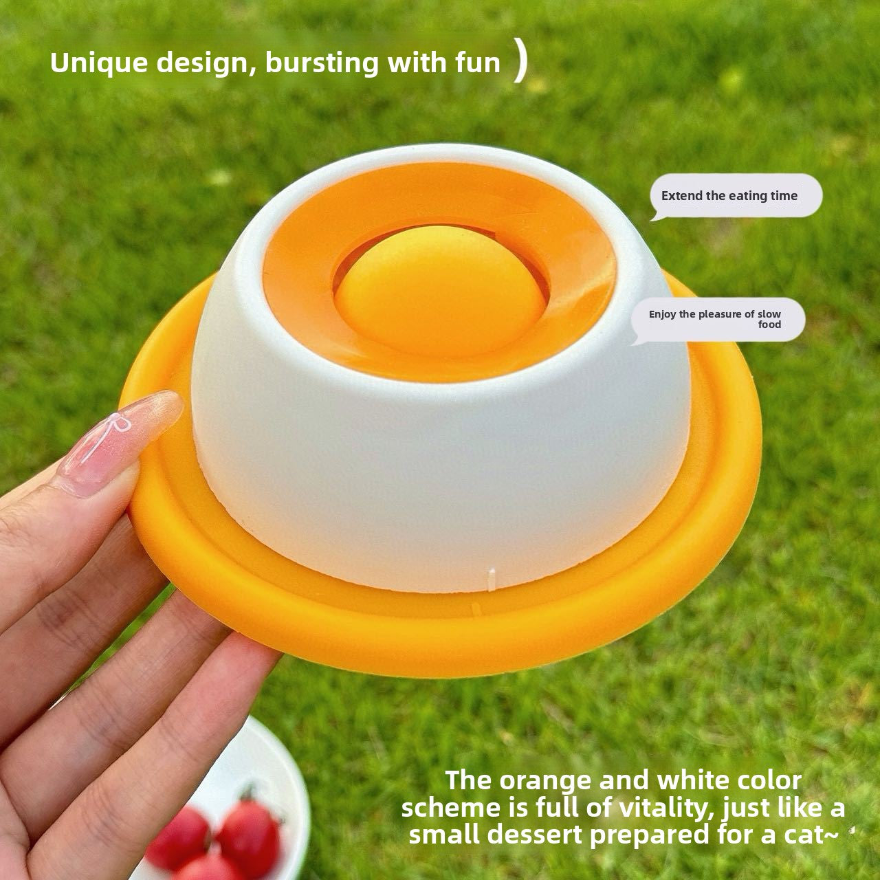 Anti-Spill Slow Feeder Lick Bowl for Dogs & Cats